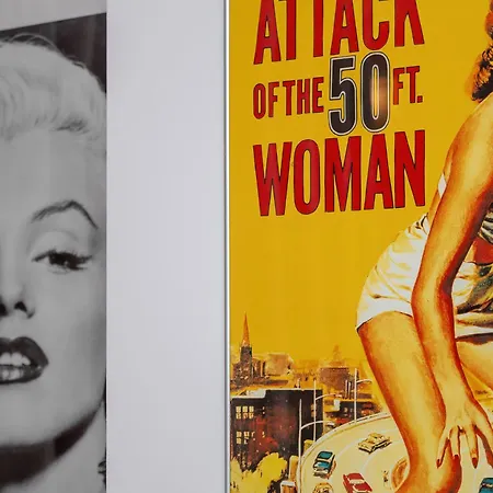 Spacious In The Center Of By Renters Łódź