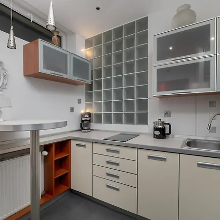 公寓 Spacious In The Center Of By Renters