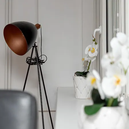 Spacious In The Center Of By Renters Apartment Łódź