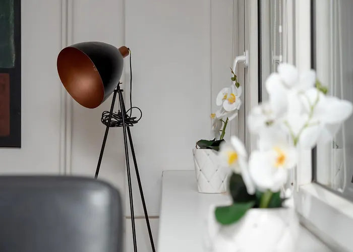 Spacious In The Center Of By Renters Lejlighed Łódź